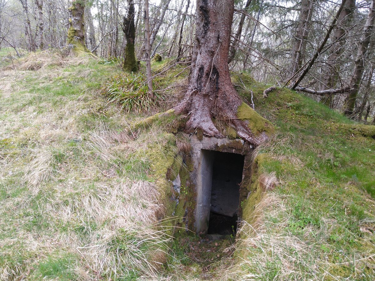 32. Shelter under stor furu. Trollsk.