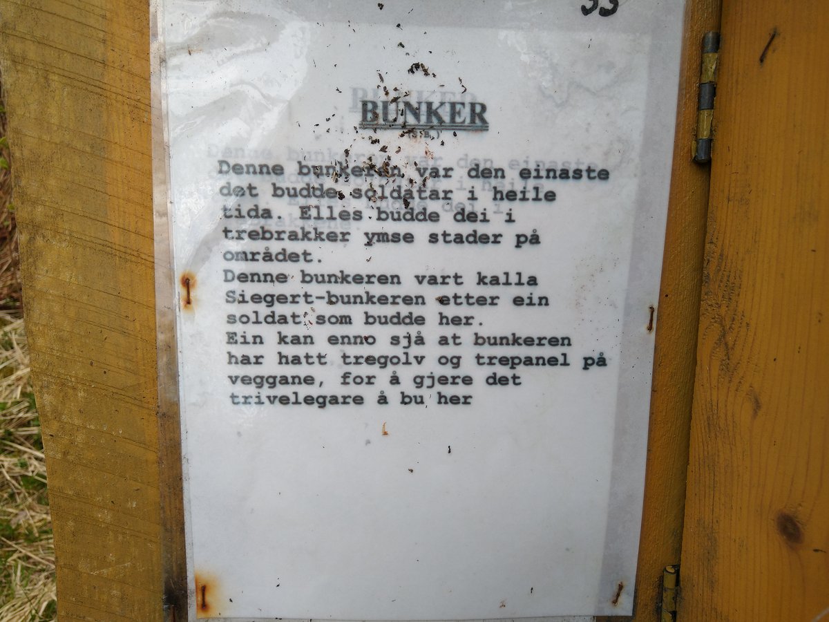 33. Bunker (siegert-bunkeren).