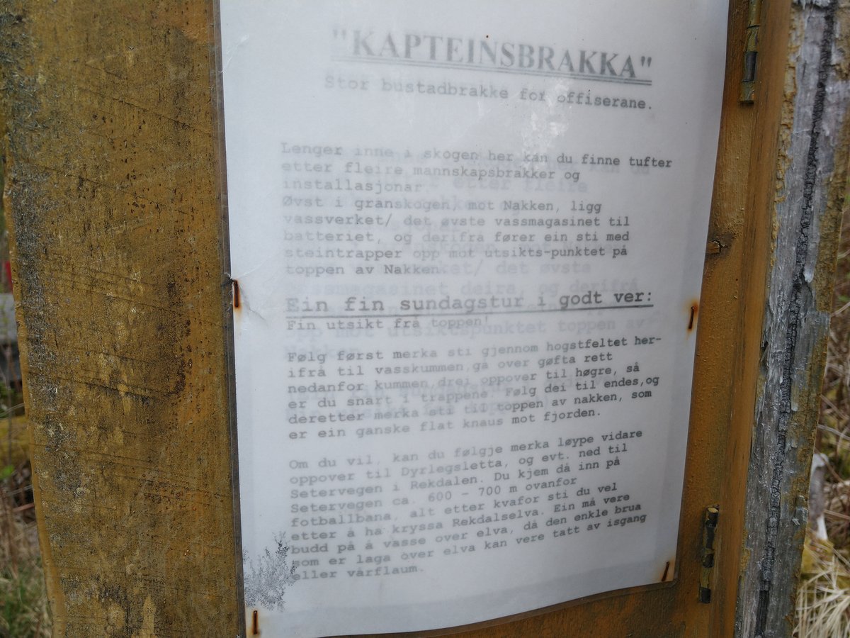 41. Kapteinsbrakke.