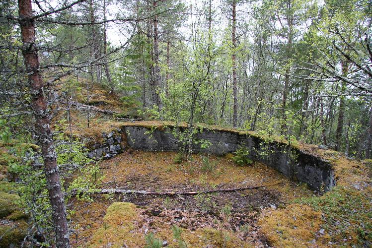 En av de åpne kanonstillingene i batteriet, også disse er rimelig overgrodde....