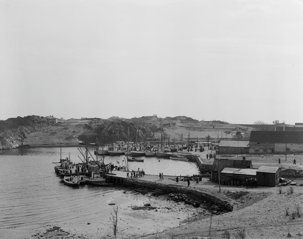 ubb-kk-n-442-127