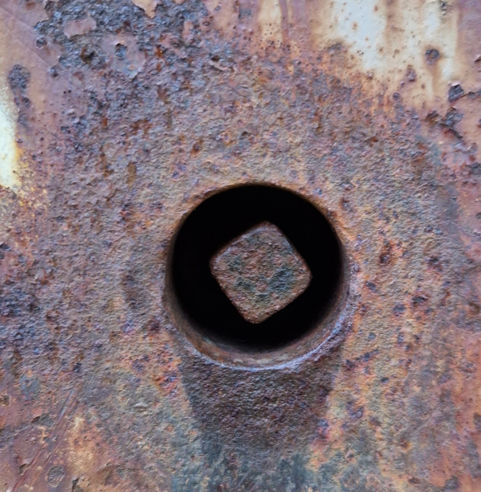 20241017_180311.jpg