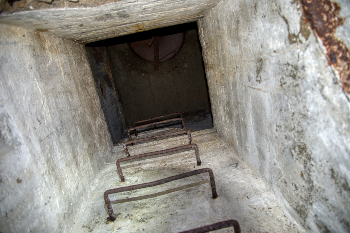 _DSC9971.jpg