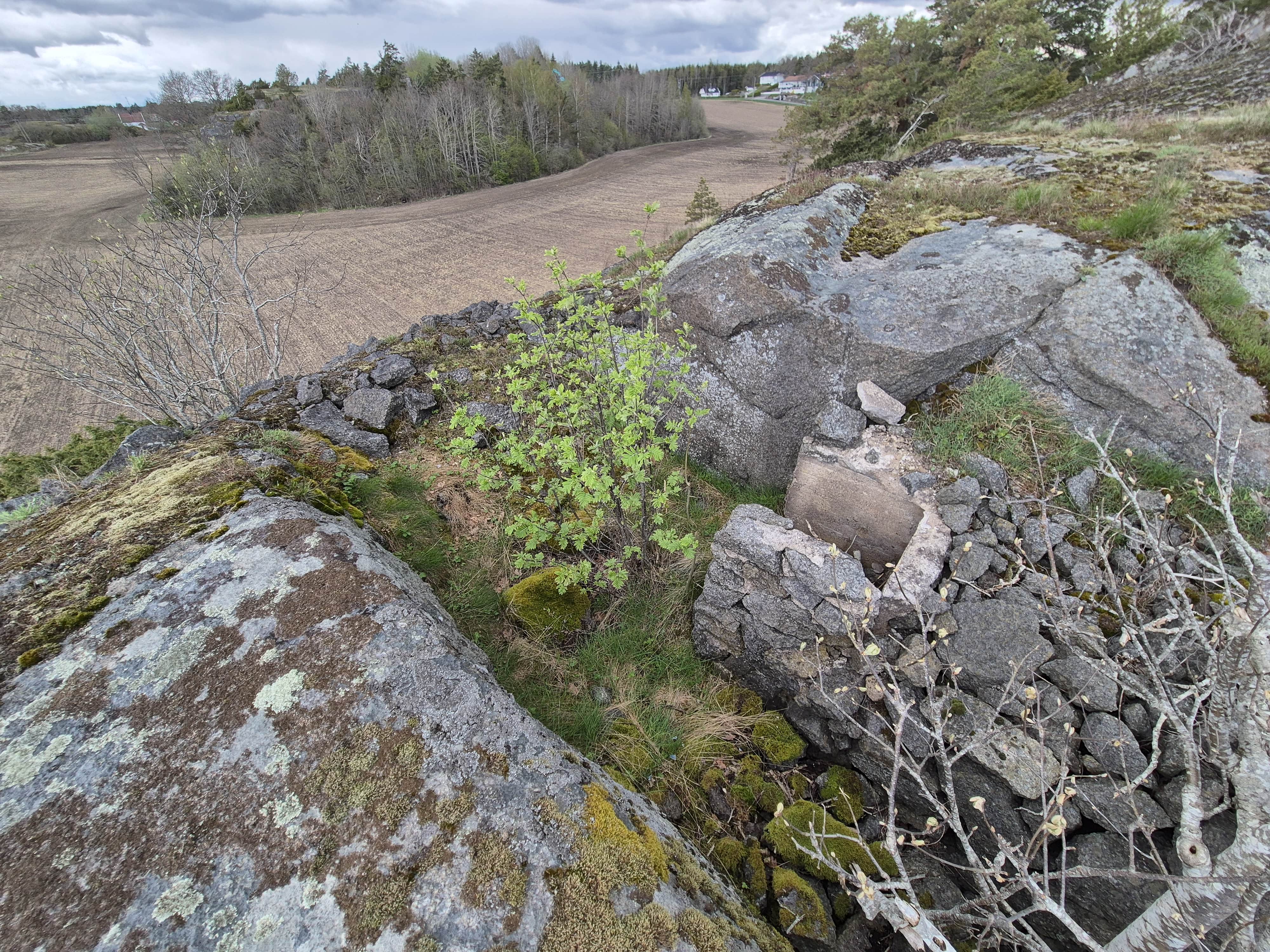 20250423_134817 (1)-min.jpg