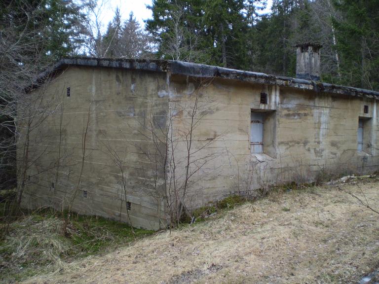 p1060003_184.jpg