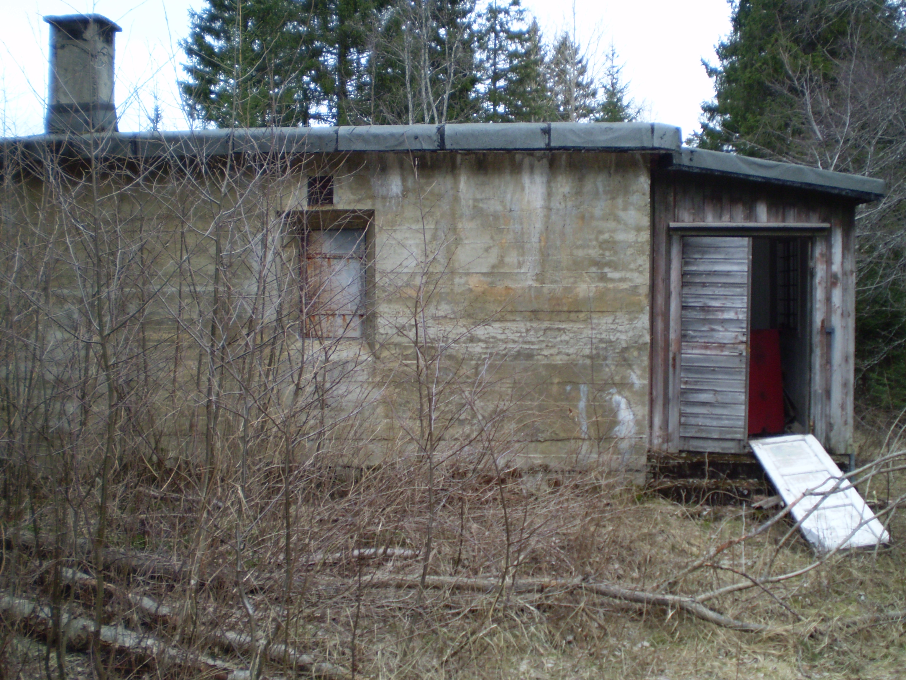 P1060004.JPG