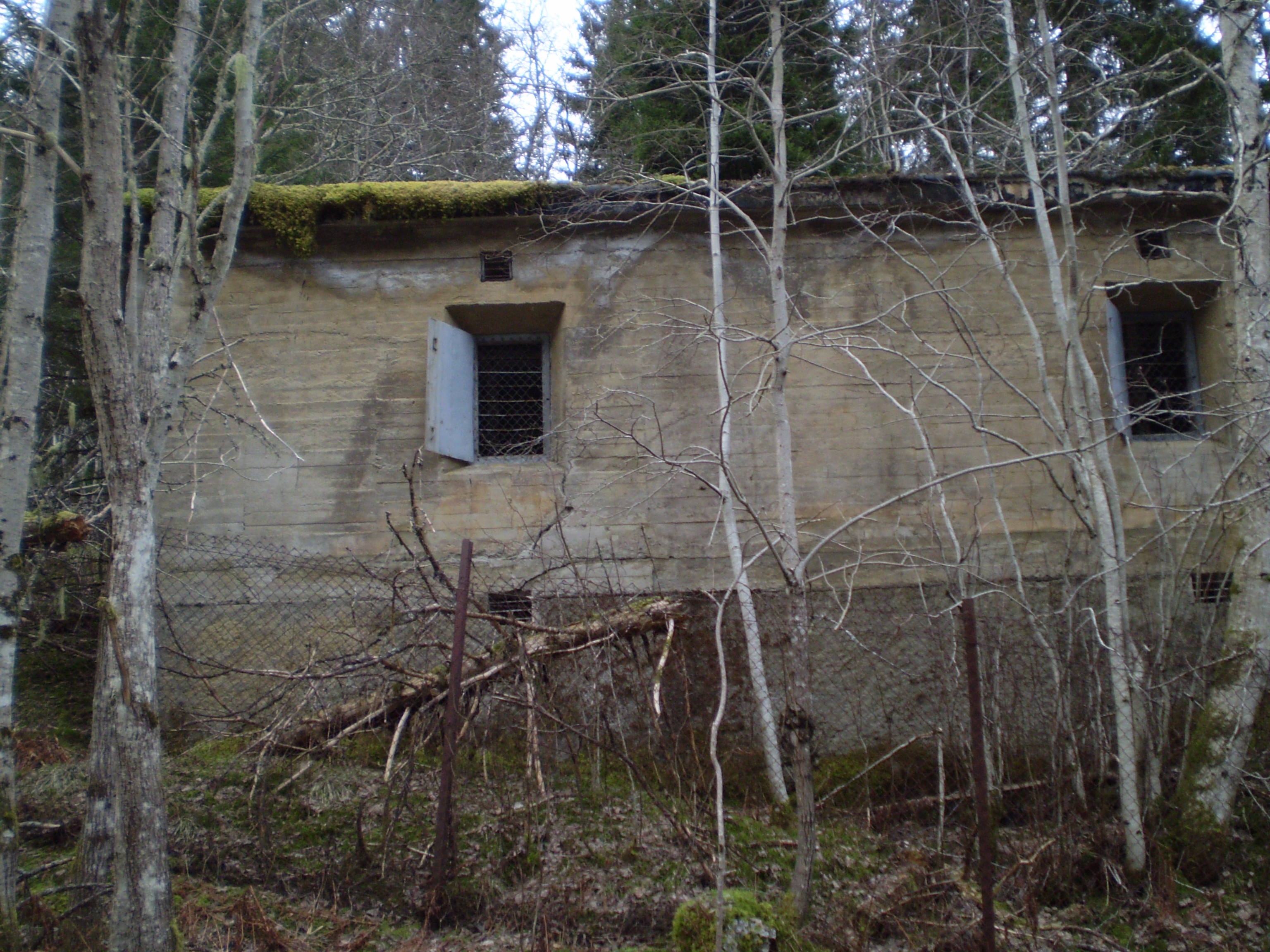 P1060006.JPG