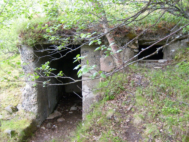 Bunker .jpg