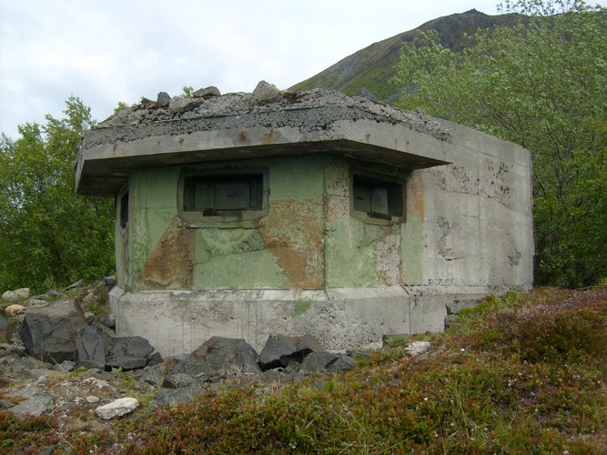 MG1 .jpg