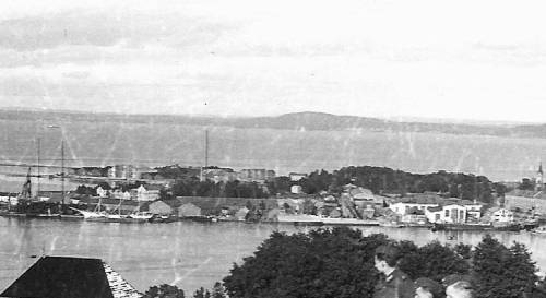 mast1.jpg