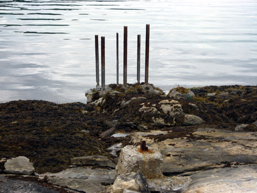 Taarnvik-01.JPG