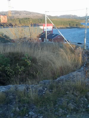 Strømsøya i bakgrunnen.