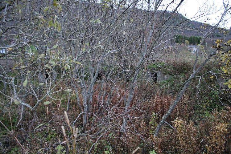 Viser seg at sirkelen er en nedgrodd kanonstilling, sikkert 20 meter i diameter!