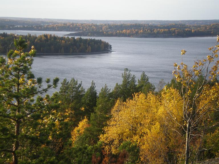 Höst vid vårkaseberget.JPG