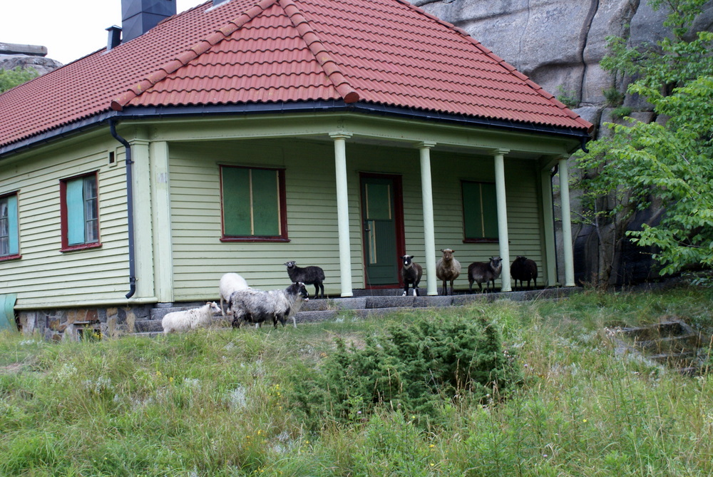 DSC07700.JPG