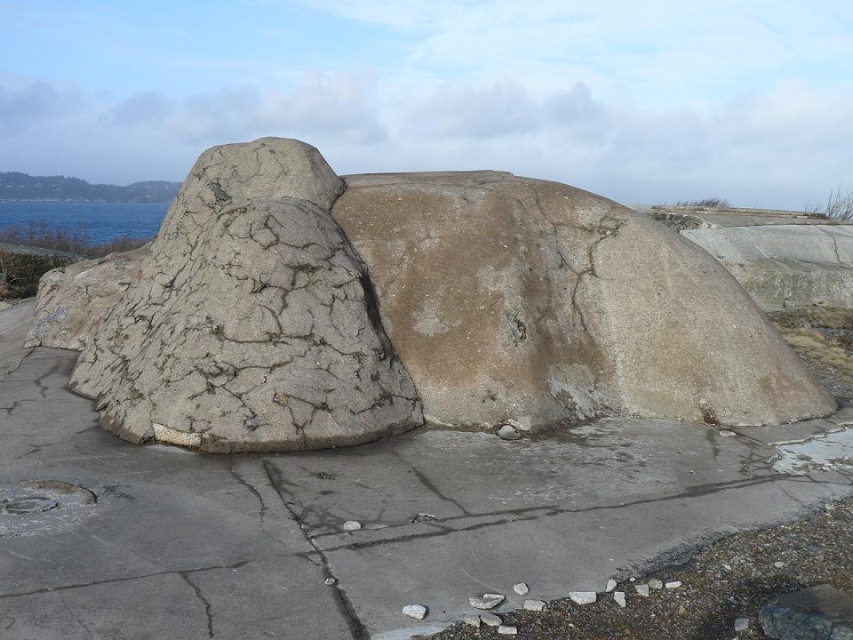 P1010274_2.jpg