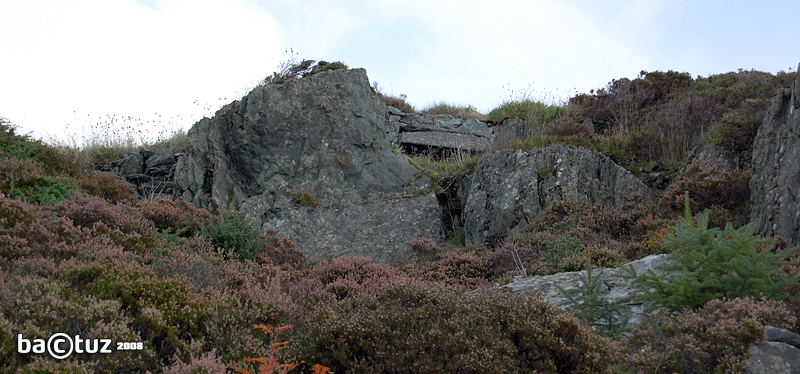 Dette var det første som møtte meg på min vandring opp mot kanonstillingene. To stk. Mg-/nærforsvarsbunkere på en liten høyde. Her sett fra sjøsiden. Bunkerne har retning vest og sørvest.