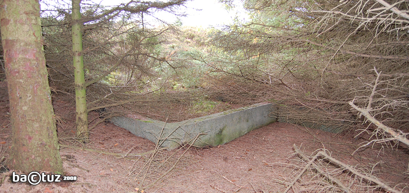 Brakkegrunnmur inni skogen like nord for kanonstilling 2. Iflg. KOS og de siste oppmålinger er størrelsen 8,2 x 4,5 meter. <br />N 6586076 Ø 284985