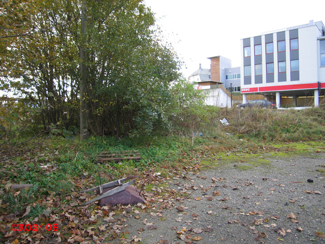 Buskene sett fra motsatt side.