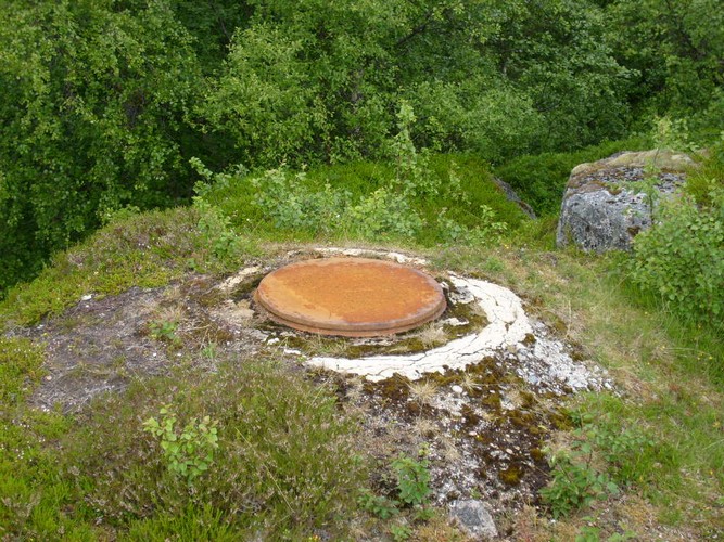 Grøtavær 1.juli-07 049.jpg