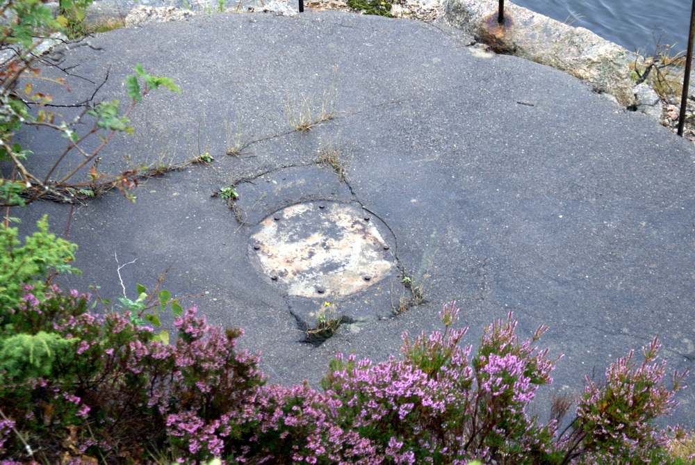 DSC08013.JPG