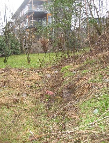 Østre kant av grunnmur til østre brakke, bak Revehallen. Foto feb/07