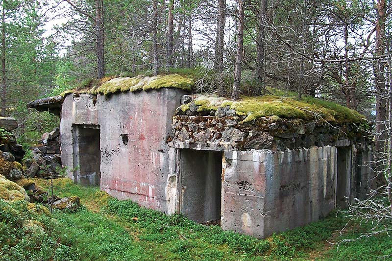 P0005178.jpg
