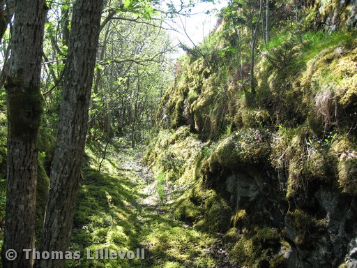 Straumøy-01.jpg