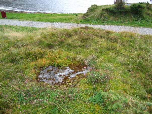 Ringstand for flammekaster, er også gjenmurt og kraftig overgrodd. Over veien kan vi skimte den andre Ringstanden. Disse to stillingen dekket adkomsten inn til hovedområdet ved batteriet.