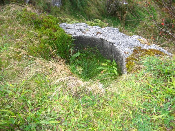 Ganske så overgrodd skytestilling for en mann, ved ammobunker bak 15cm stillingen.