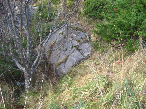 Ammunisjonsbunker på nedsiden av veien. Løpegrav førte fra 10,5cm stilling og ned hit. Denne er gjenfylt og ikke tilgjengelig. :(