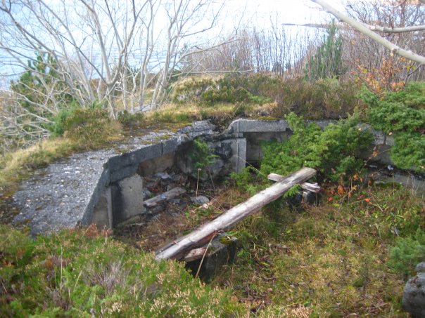 Stilling i betong for 2cm Flak. Delvis overgrodd, men stort sett intakt.