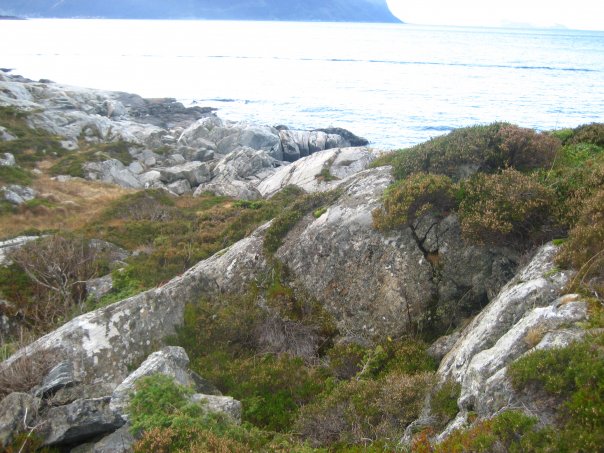 Foran lyskasterstillingen ligger feltmessig utførte skytestillinger. Denne ligger i en naturlig grop i berget, med opplødd stein helt til venstre.