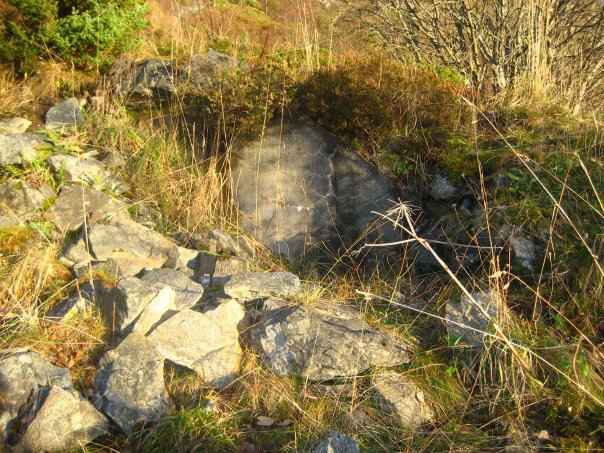 Ganske så gjenfylt og overgrodd dekningsbunker som lå nesten kloss i veggen med offiserbrakken på Stavneset.