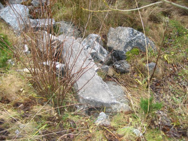 På nedsiden av grusbanen (foran kommandobunker), finner vi rester etter den andre av de fire 10,5cm Schneider stillingene.