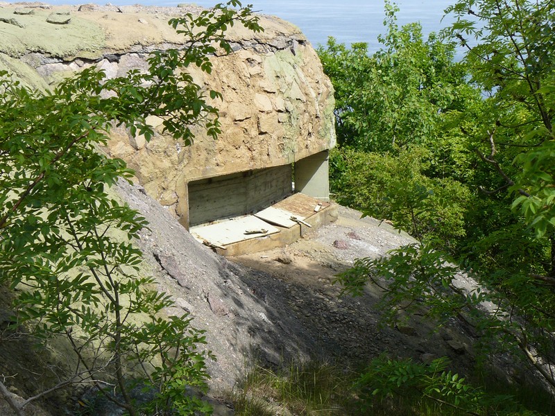 P1010446.jpg