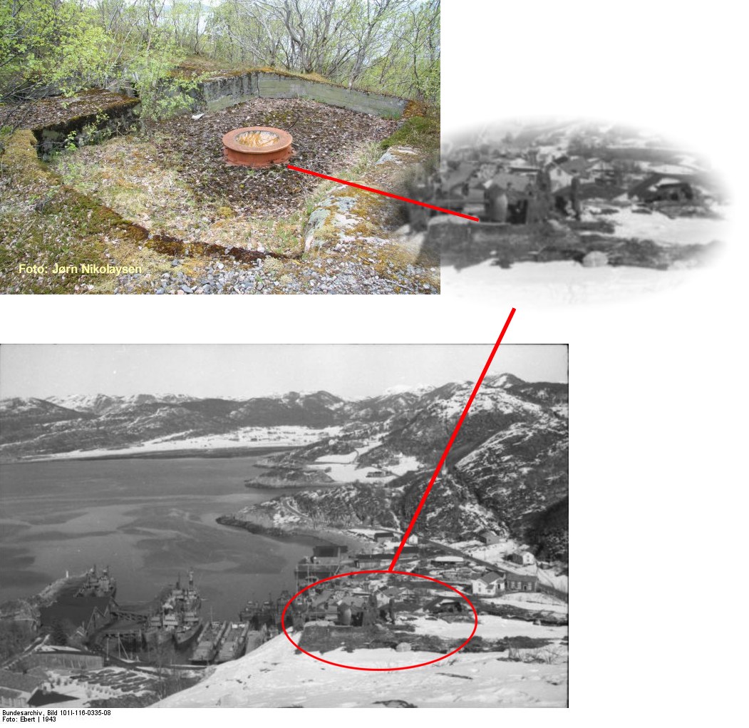 Kanonstilling, Hysnes øst - Hasselvika.JPG